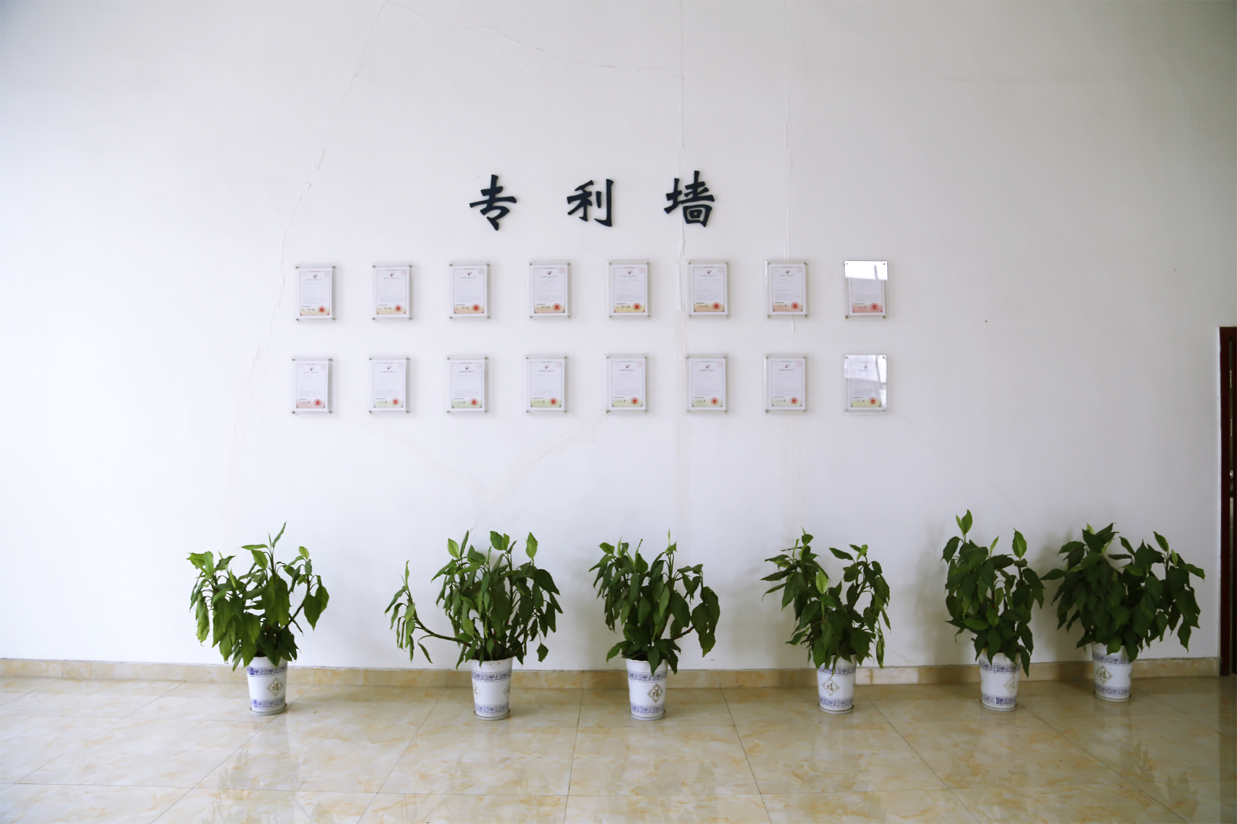 2121非凡·(中国游)体育官方网站